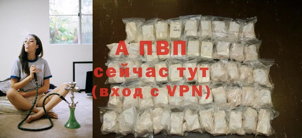 спиды Беломорск